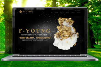 ���ո������ﱦʯ